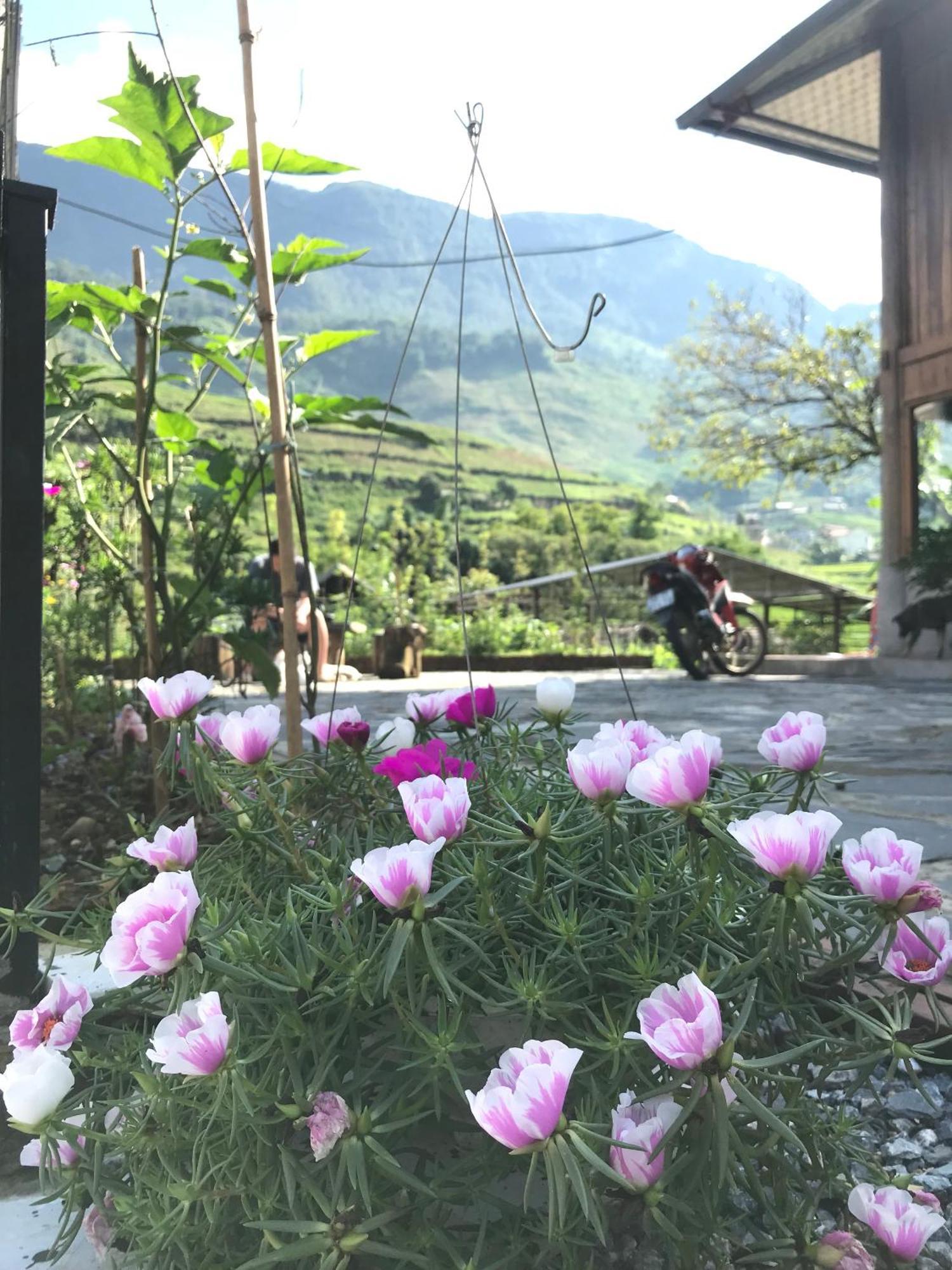 Little Ta Van Homestay 사파 외부 사진